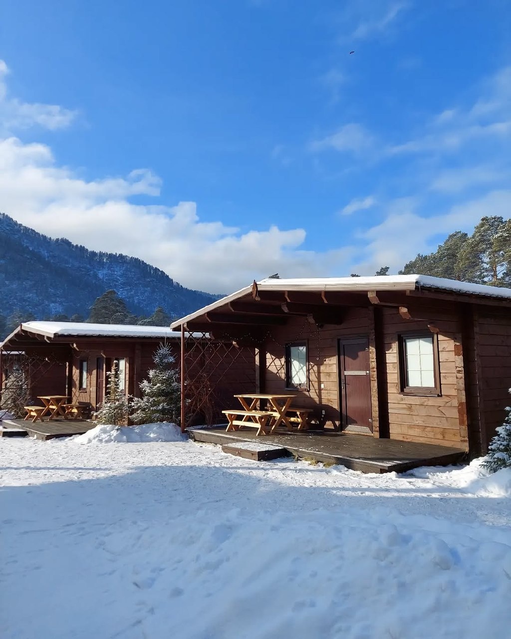 Медведь и Ягодка - фото 20