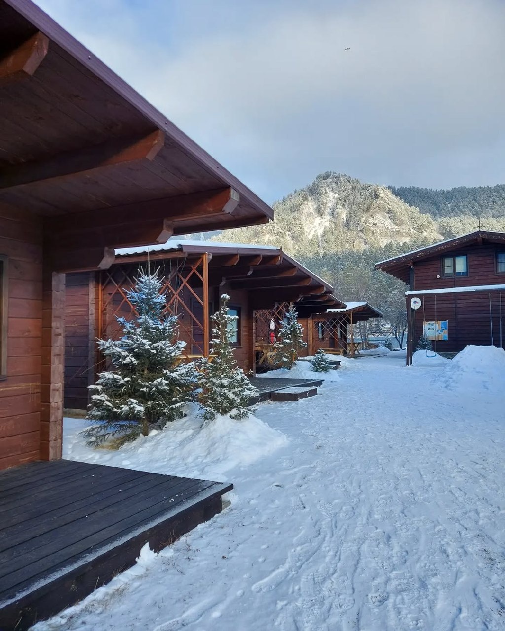 Медведь и Ягодка - фото 35