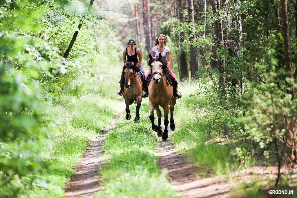 Медведь и Ягодка - фото 37