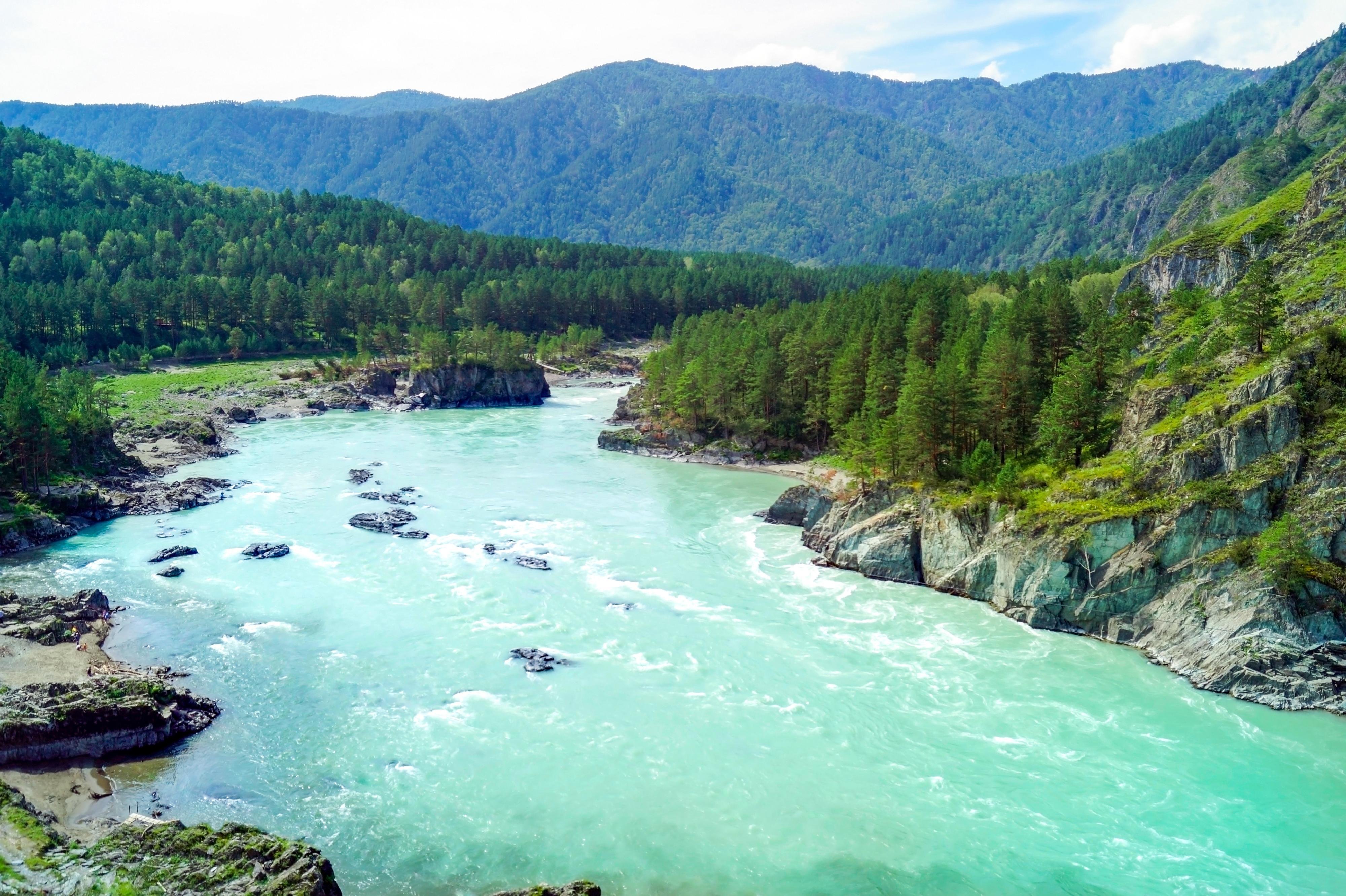 Медведь и Ягодка - фото 39