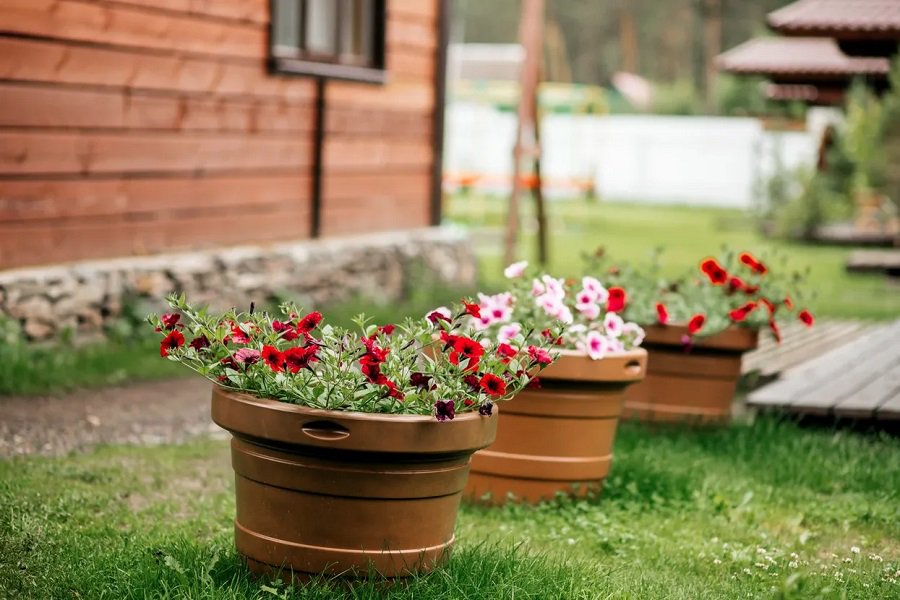 Медведь и Ягодка - фото 48