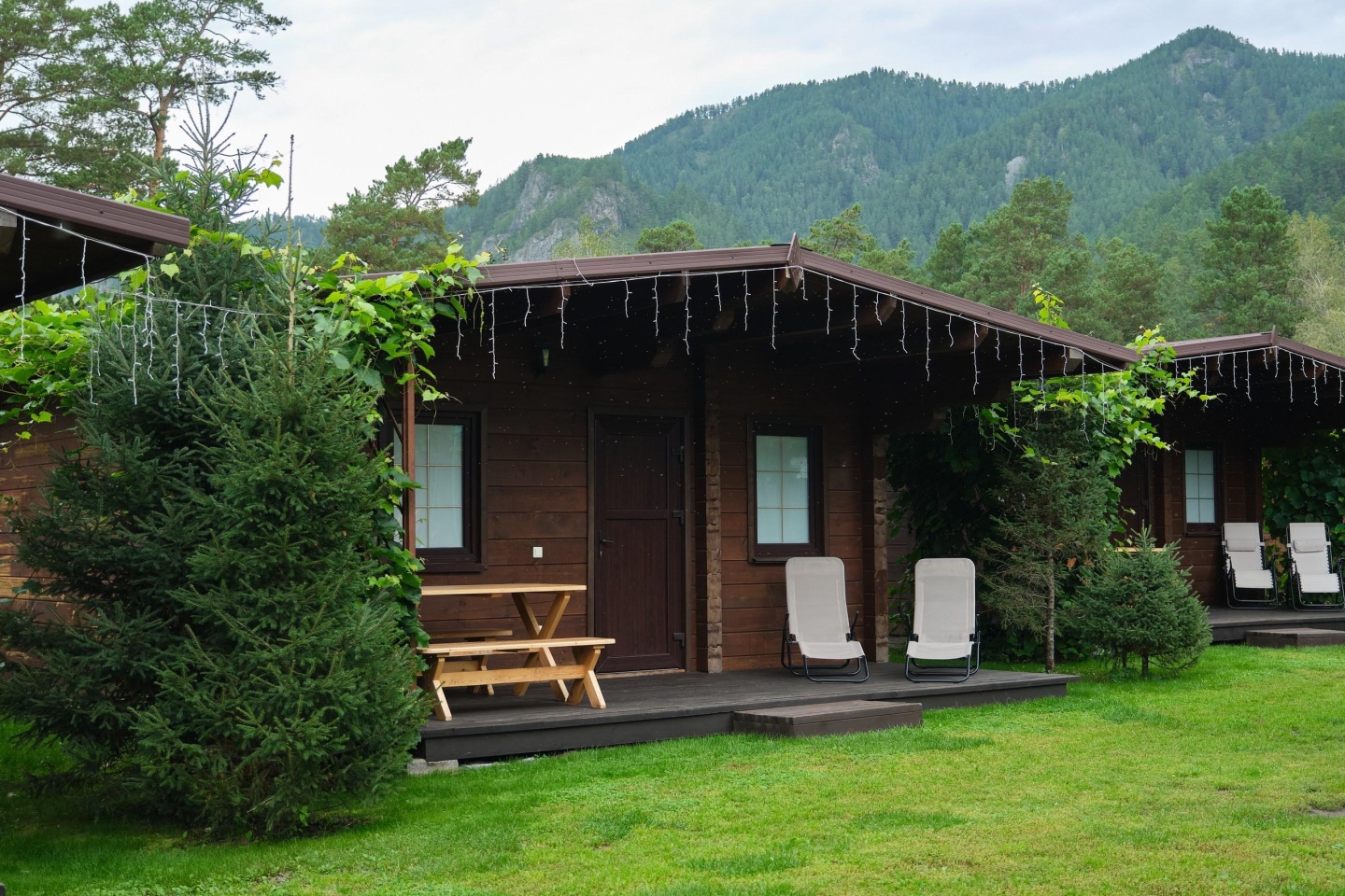 Медведь и Ягодка - фото 52