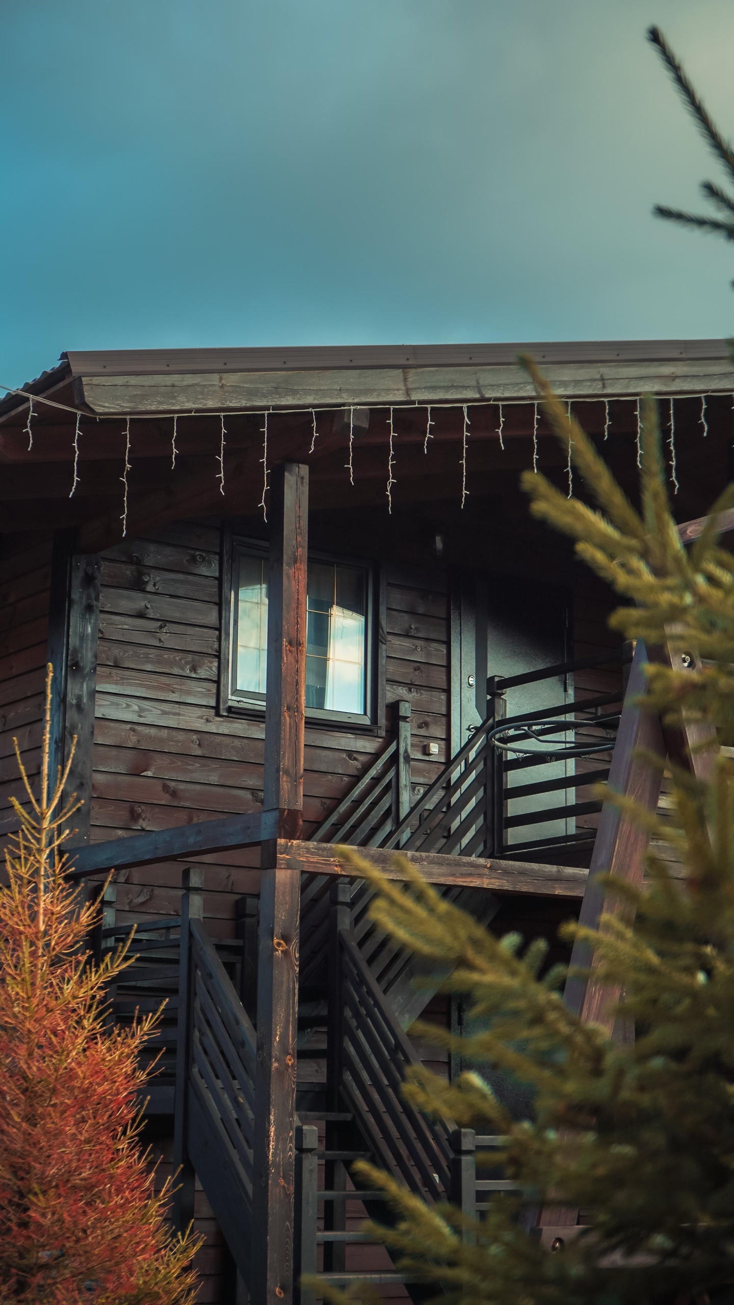 Медведь и Ягодка - фото 60