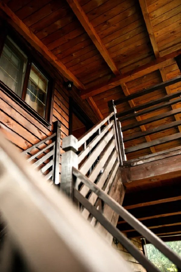 Медведь и Ягодка - фото 123