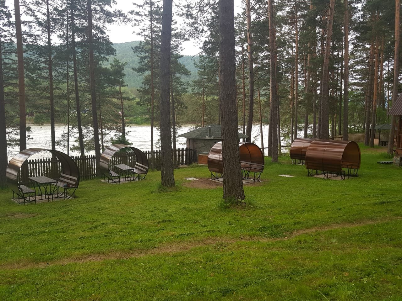 Сибиряки - фото 1