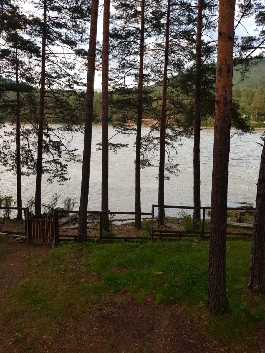 Сибиряки - фото 6