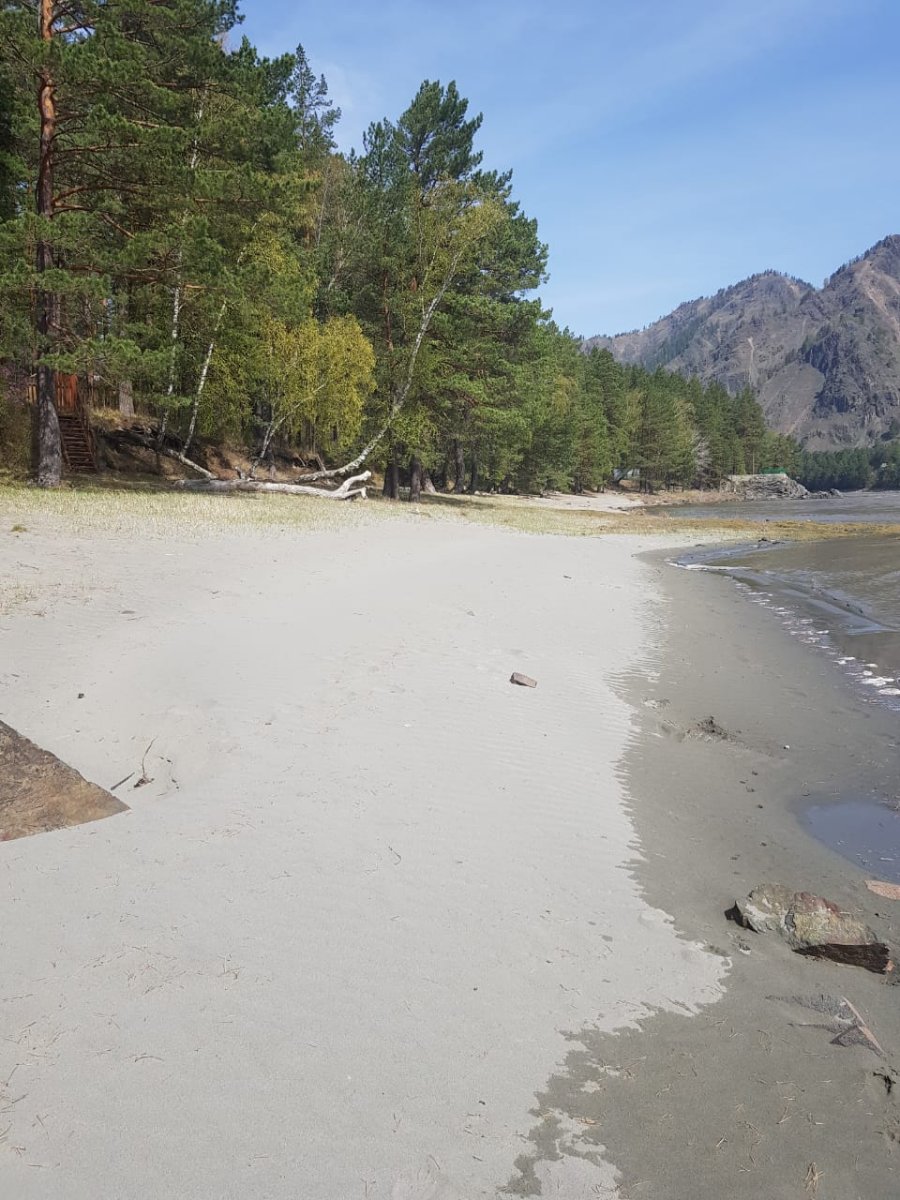 Сибиряки - фото 22