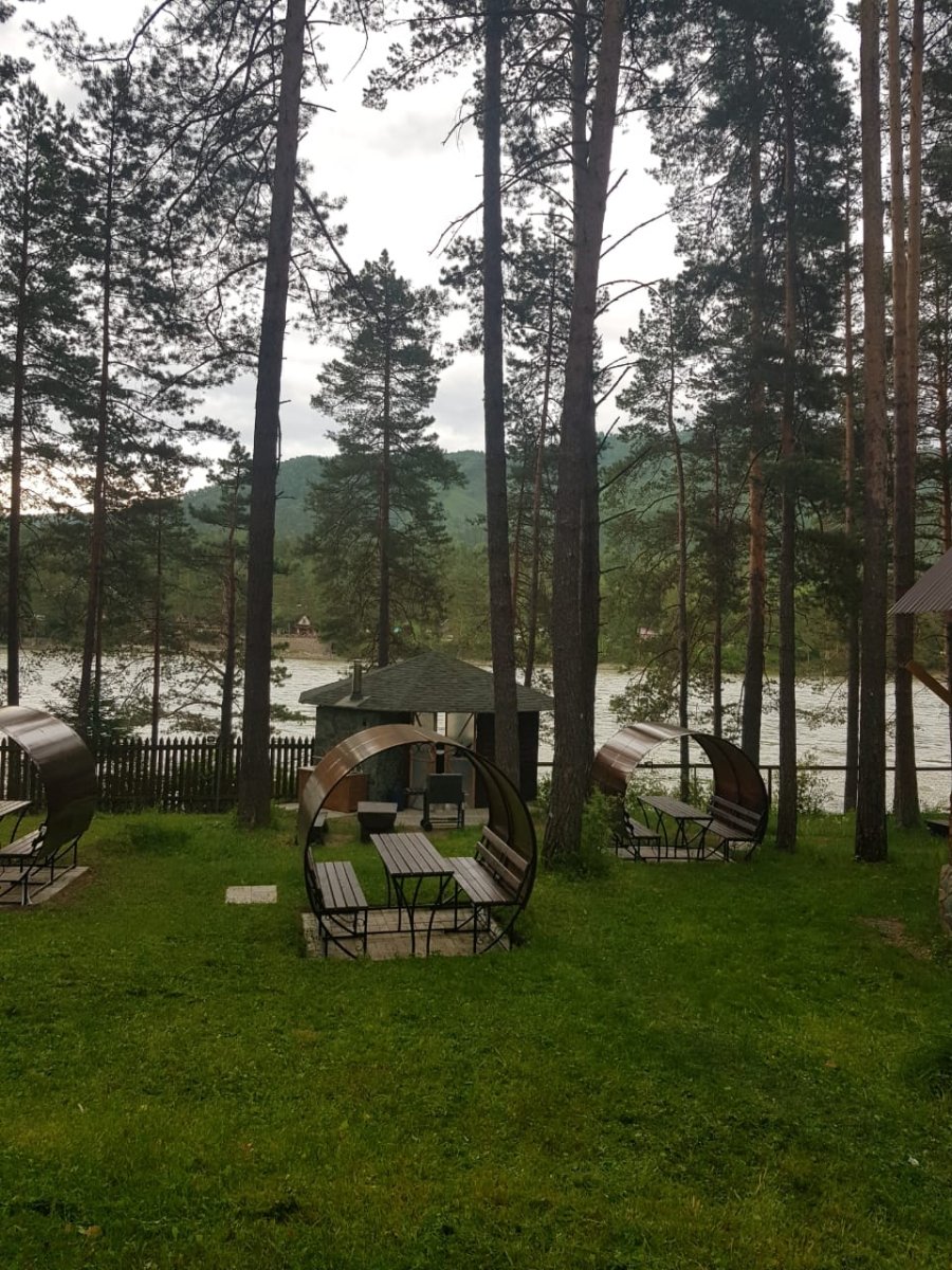 Сибиряки - фото 48