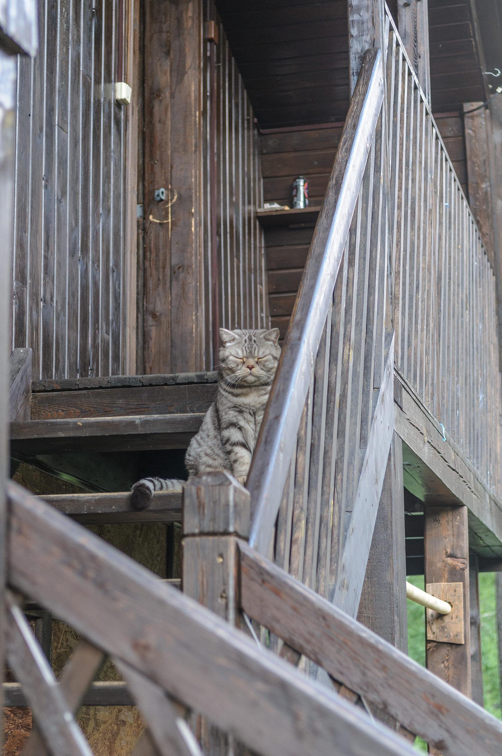 Сибиряки - фото 51