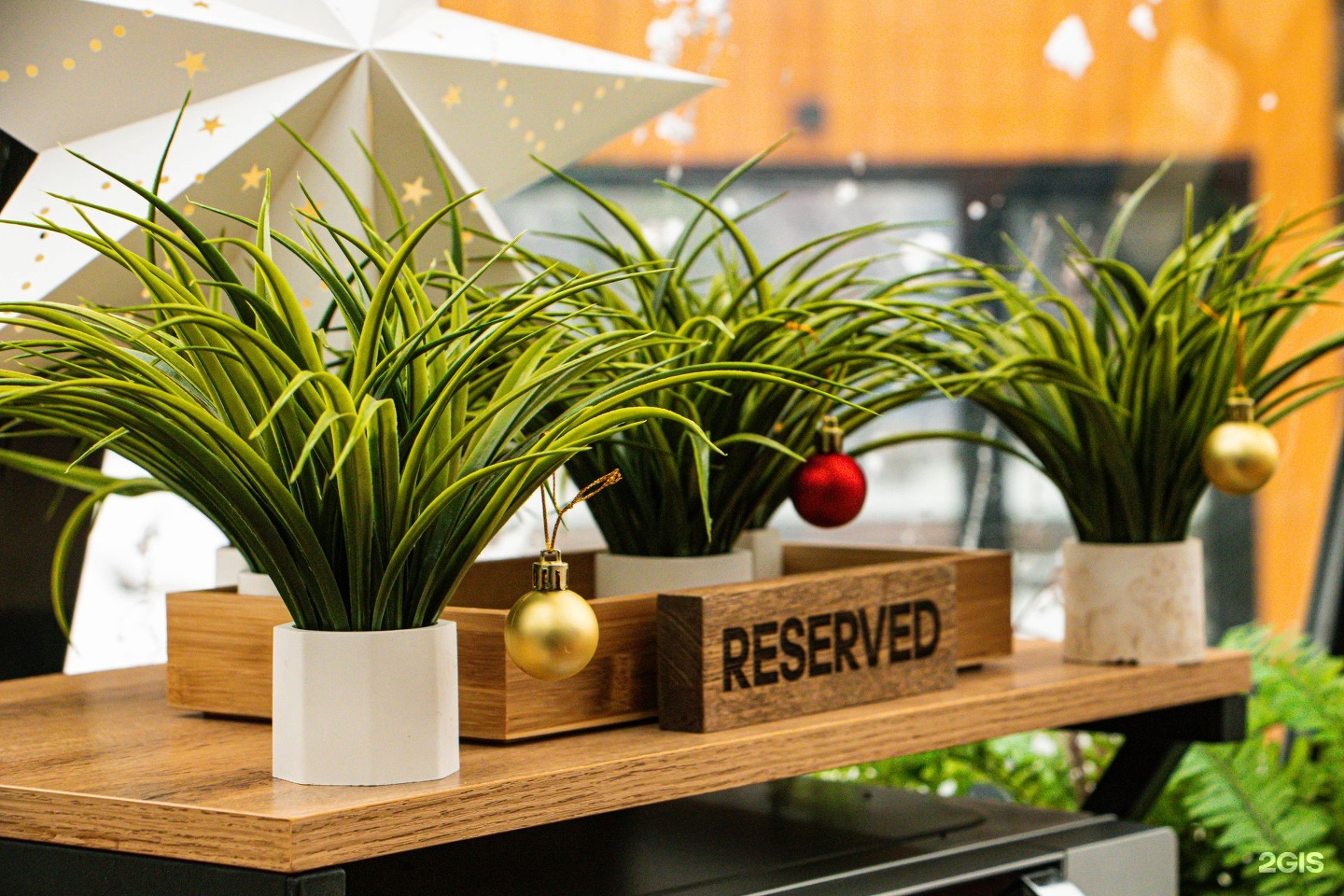 Речные земли - фото 26