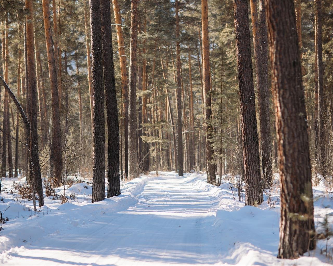 Таналтай - фото 33