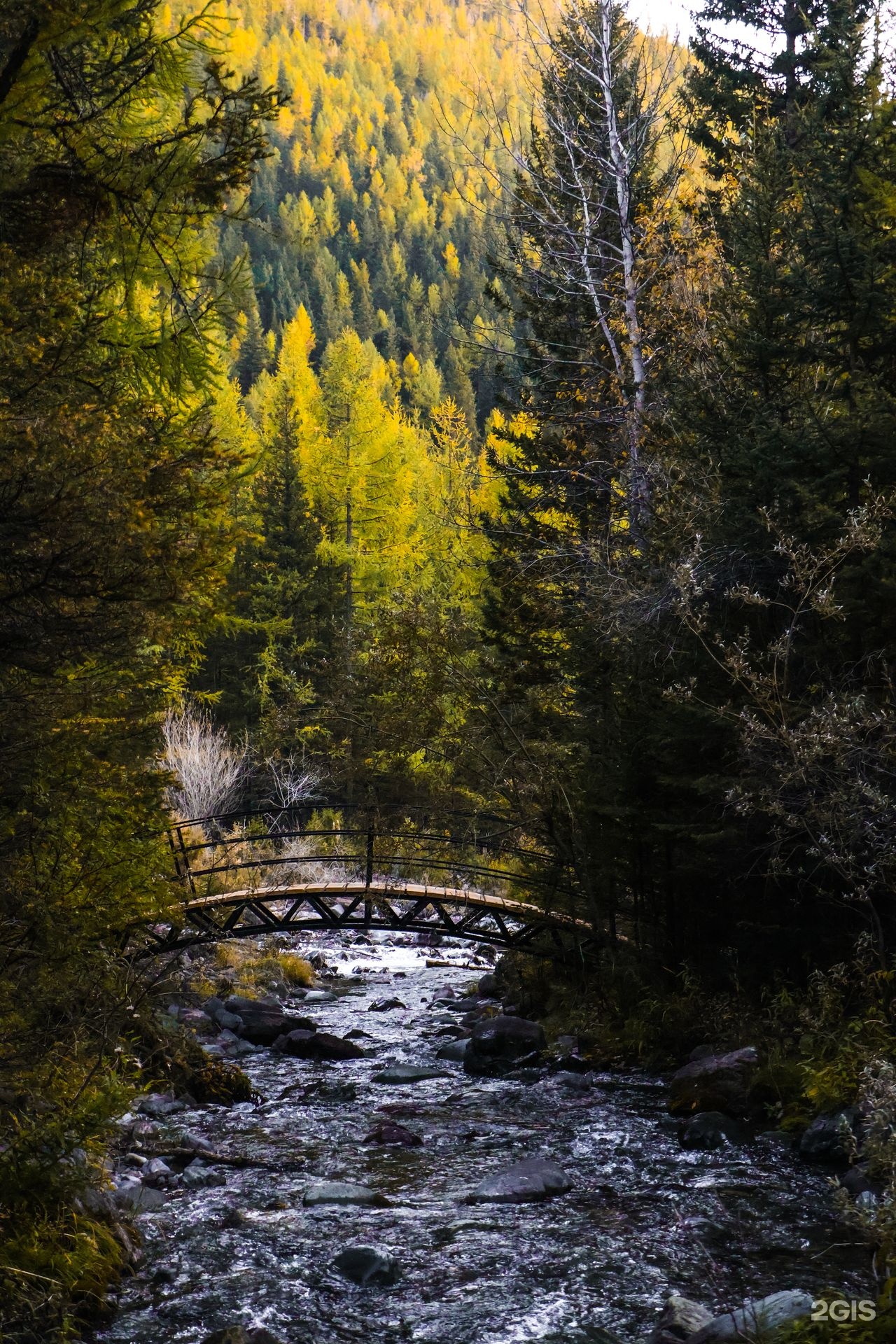 Речные земли - фото 36