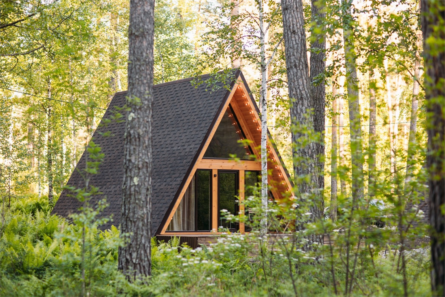 Шале в форме треугольника - фото 1