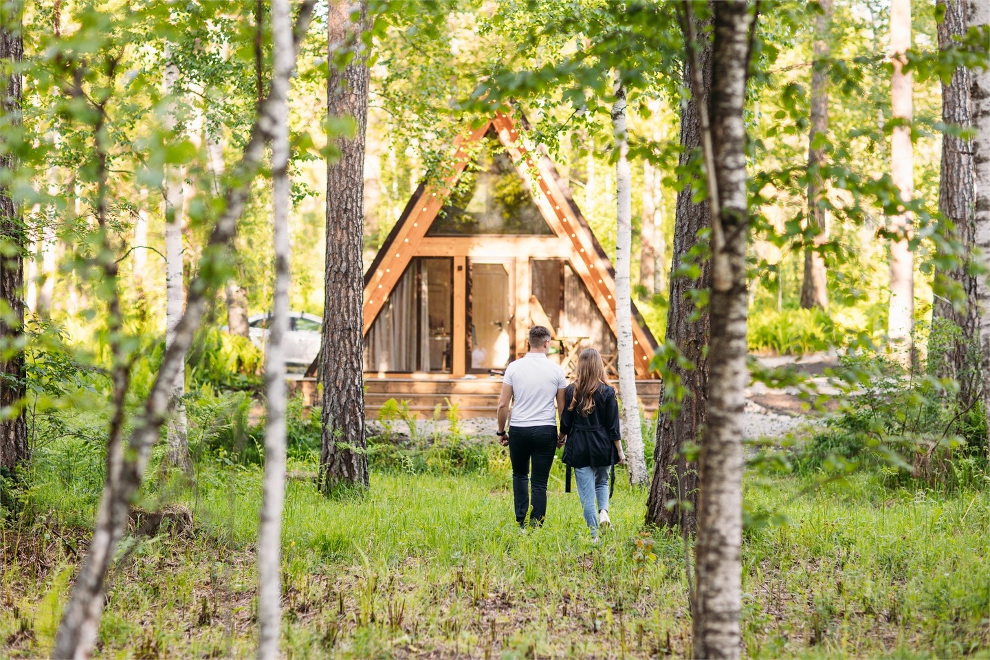 Шале в форме треугольника - фото 12