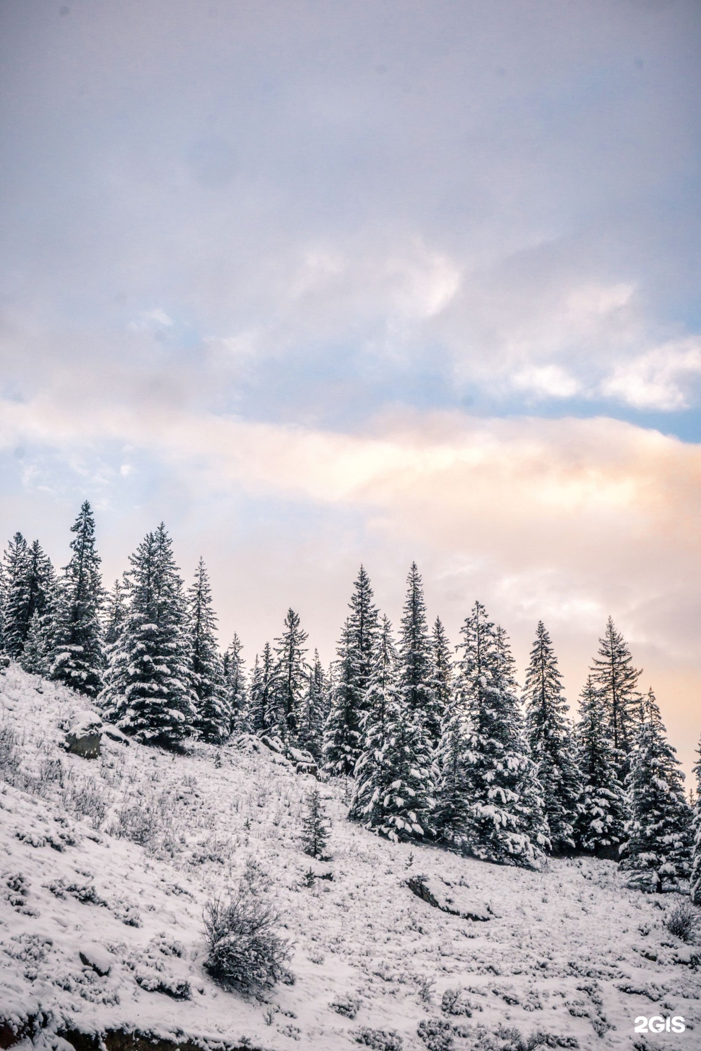 Речные земли - фото 42