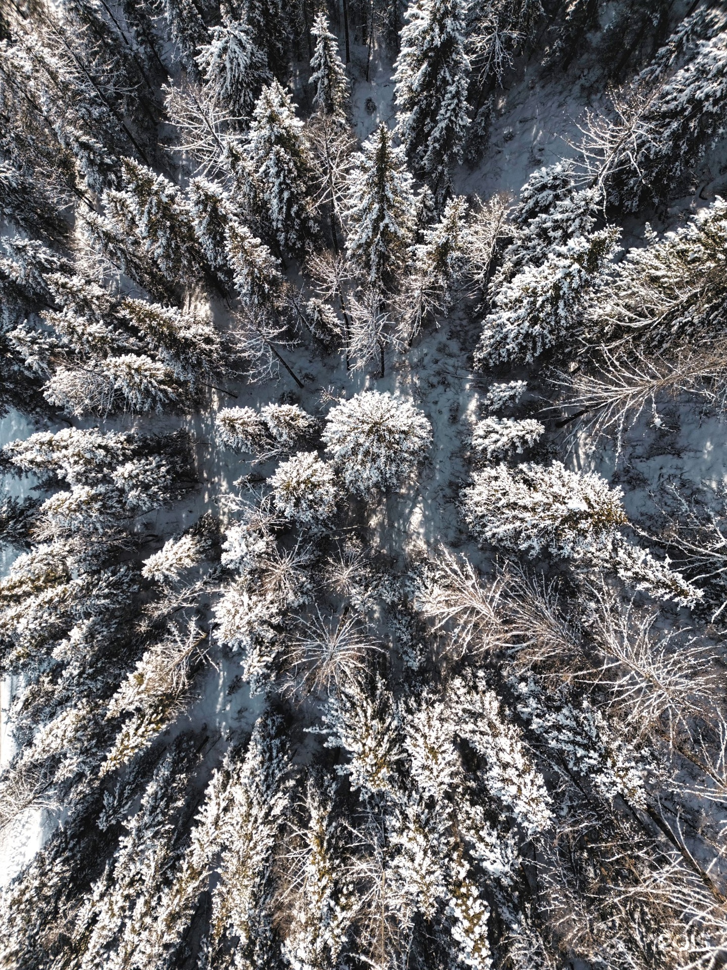 Речные земли - фото 71