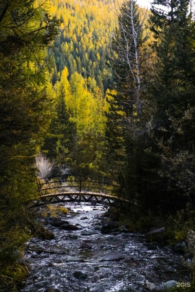 Стандарт (две односпальные кровати) - фото 17