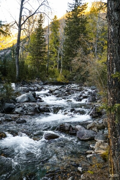 Стандарт (две односпальные кровати) - фото 19
