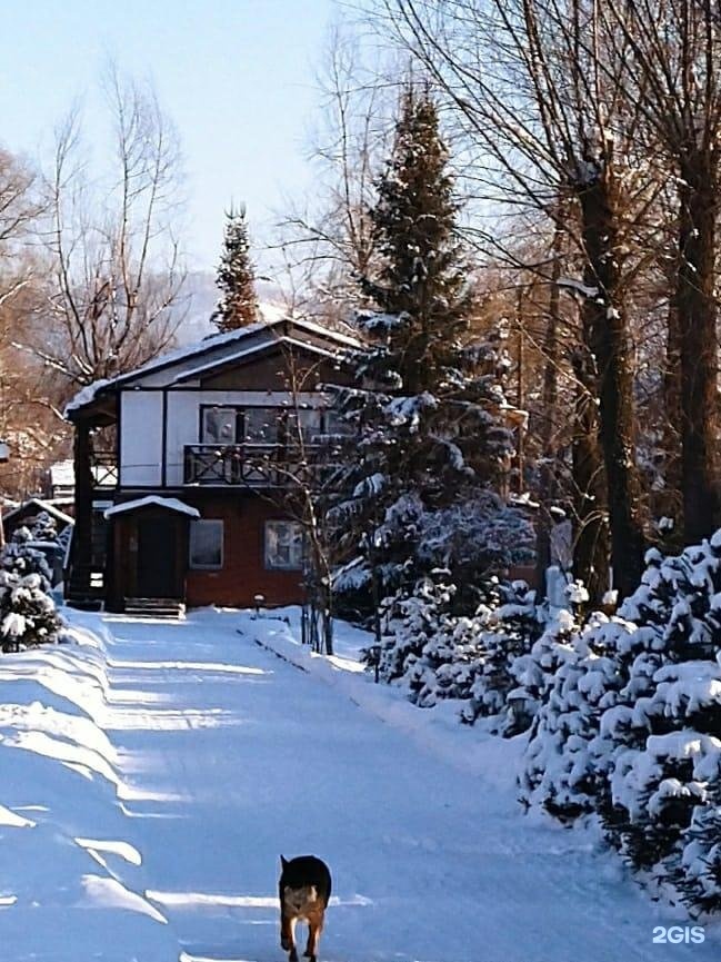 Колибри - фото 12