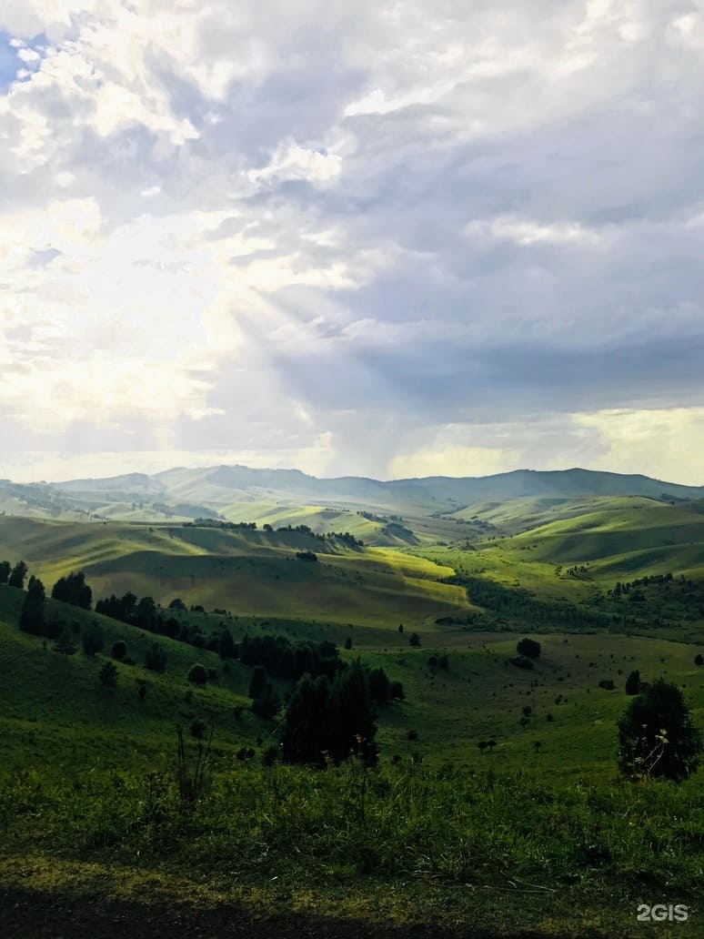 Колибри - фото 19