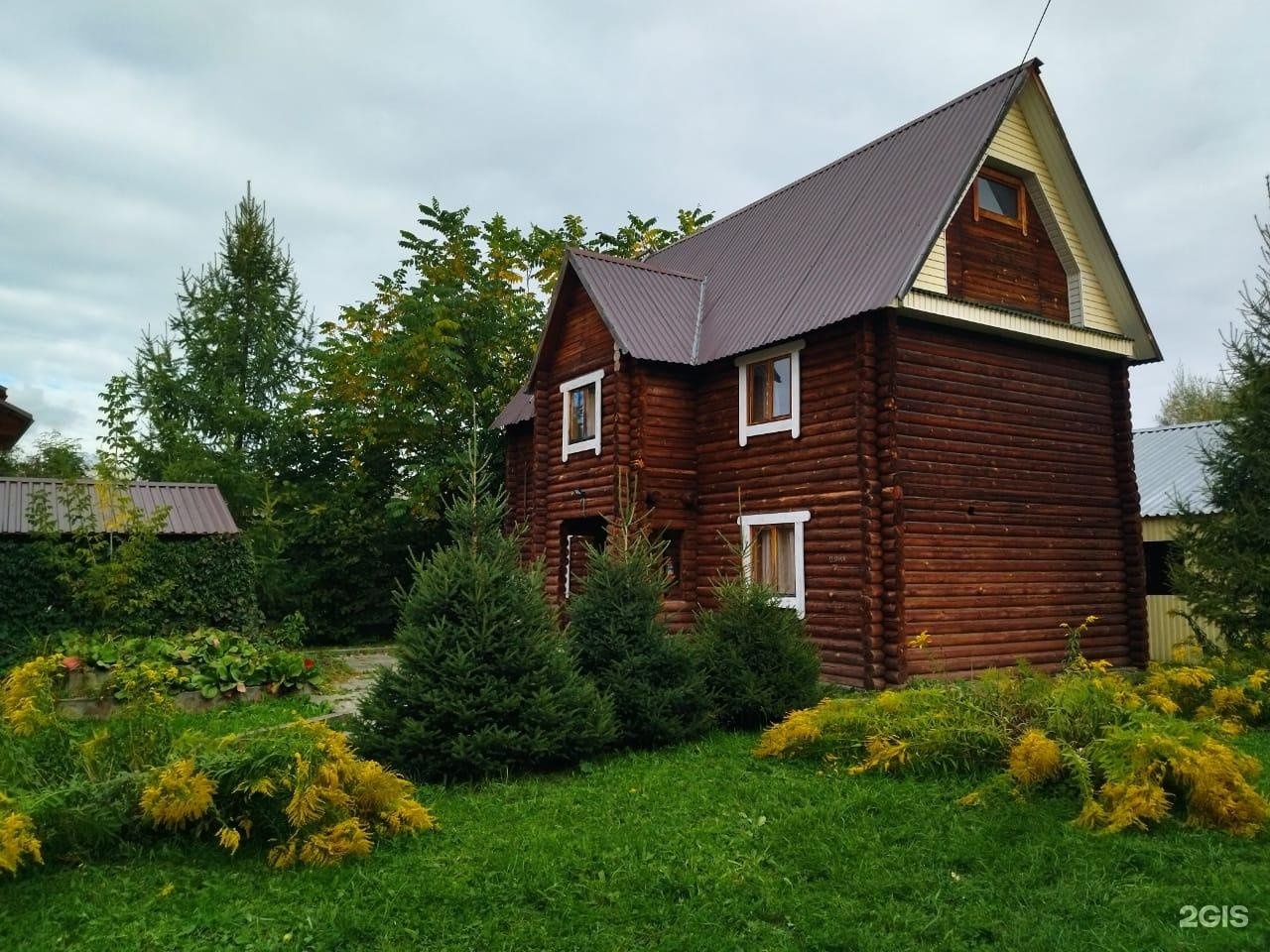 Колибри - фото 21