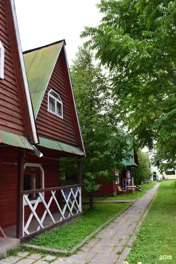 Колибри - фото 26