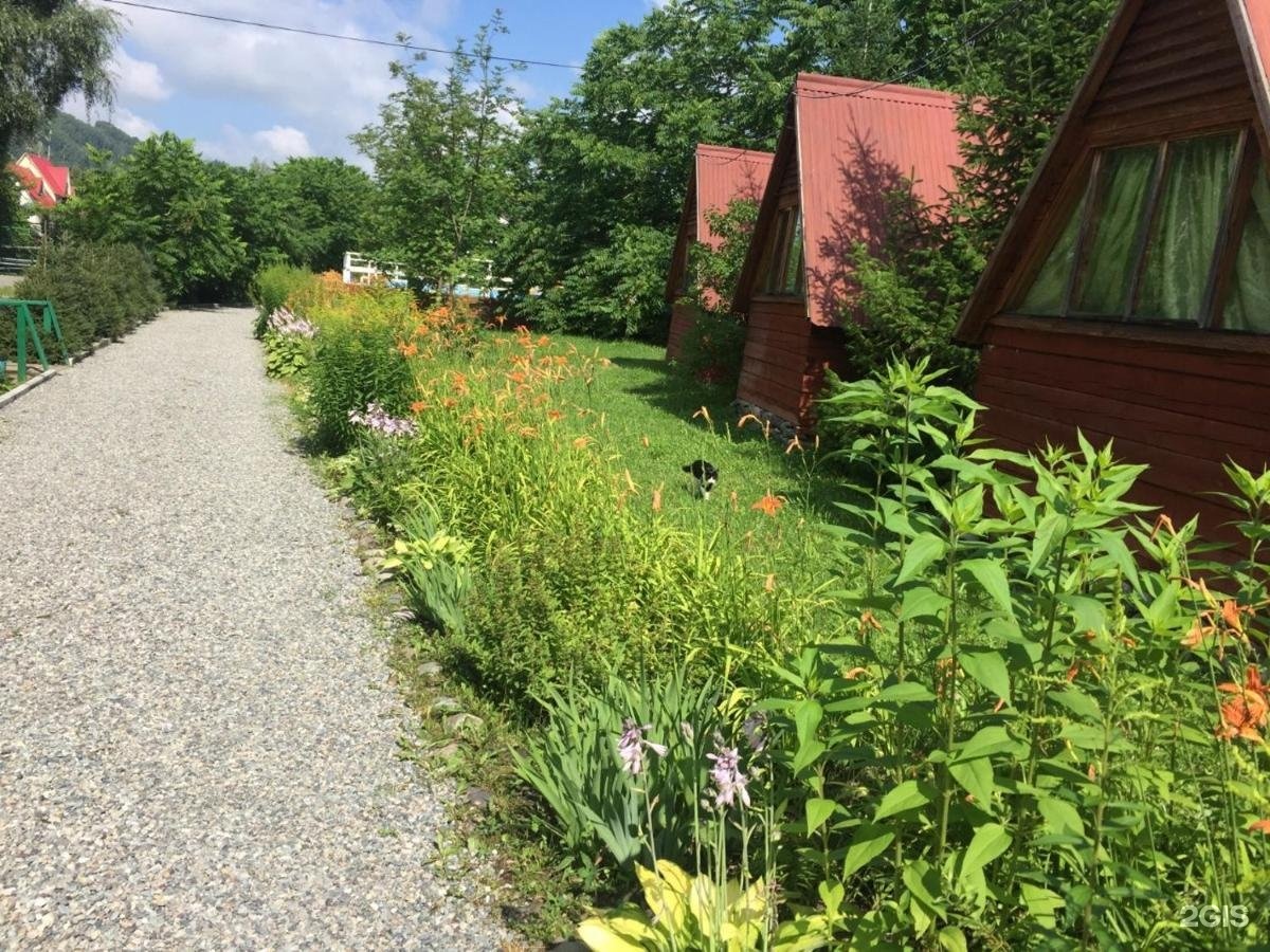 Колибри - фото 27