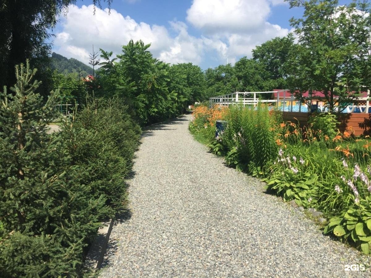 Колибри - фото 33