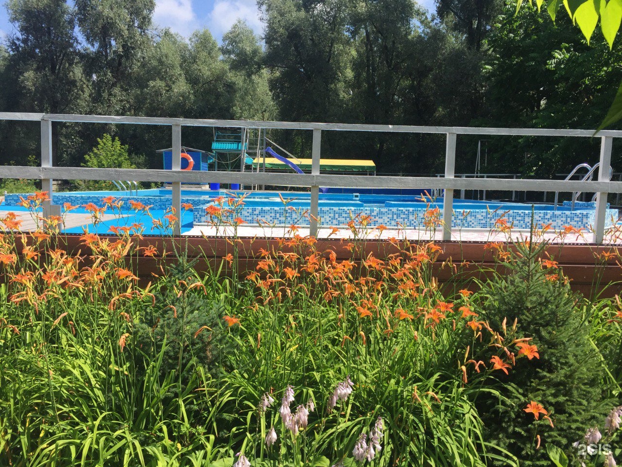 Колибри - фото 35