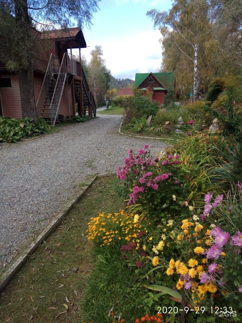 Колибри - фото 37