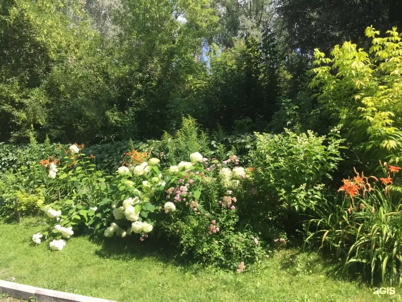 Колибри - фото 38