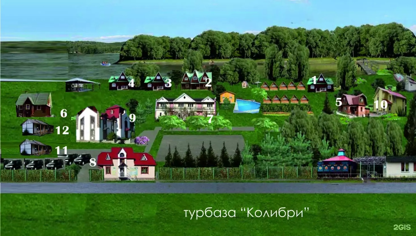 Колибри - фото 39