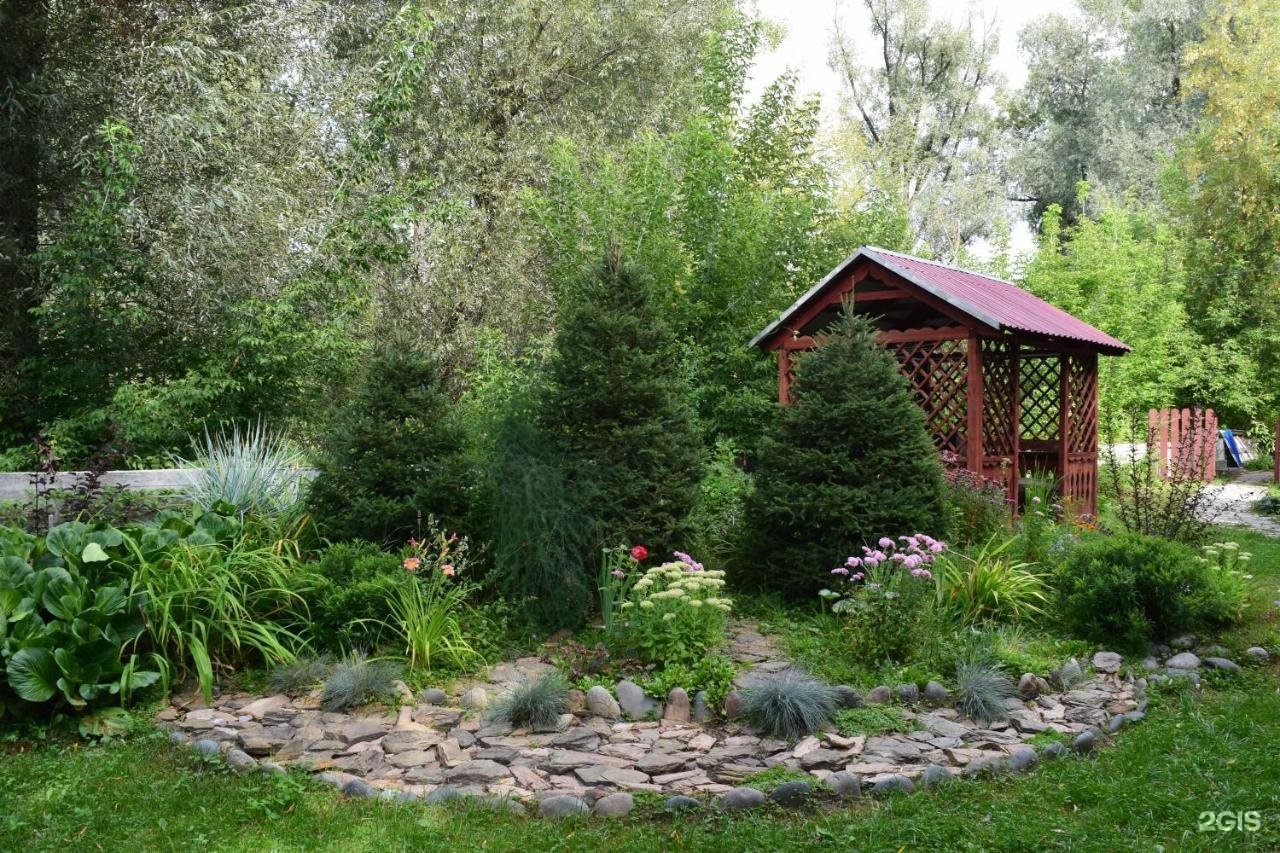 Колибри - фото 40