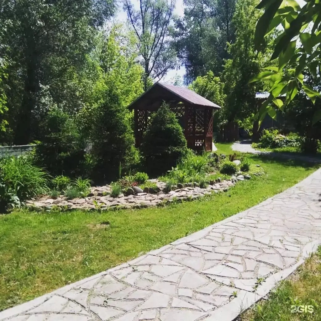 Колибри - фото 47