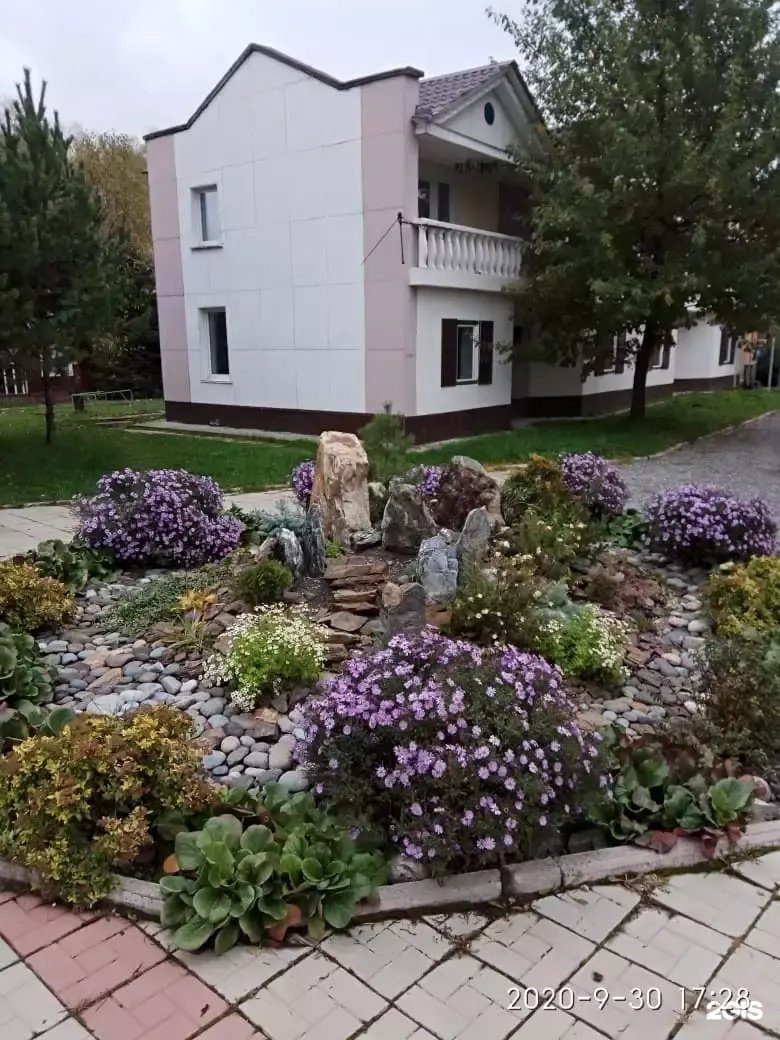 Колибри - фото 56