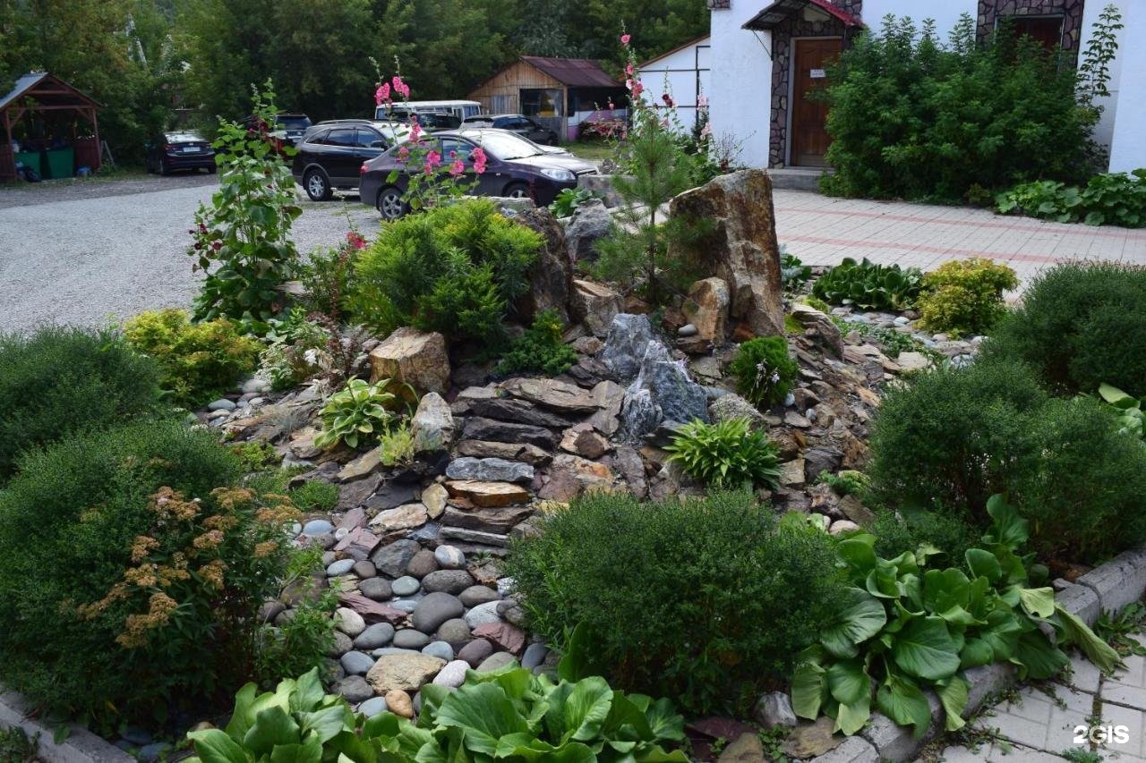 Колибри - фото 58