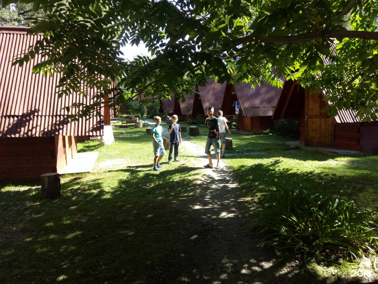 Колибри - фото 62