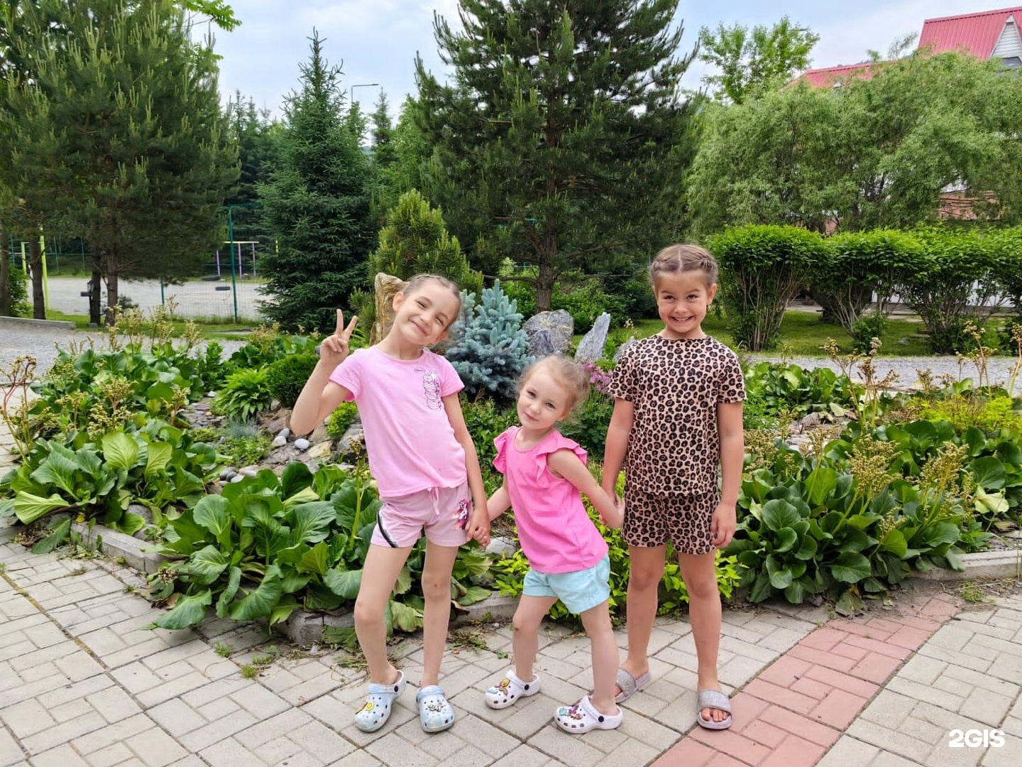 Колибри - фото 68