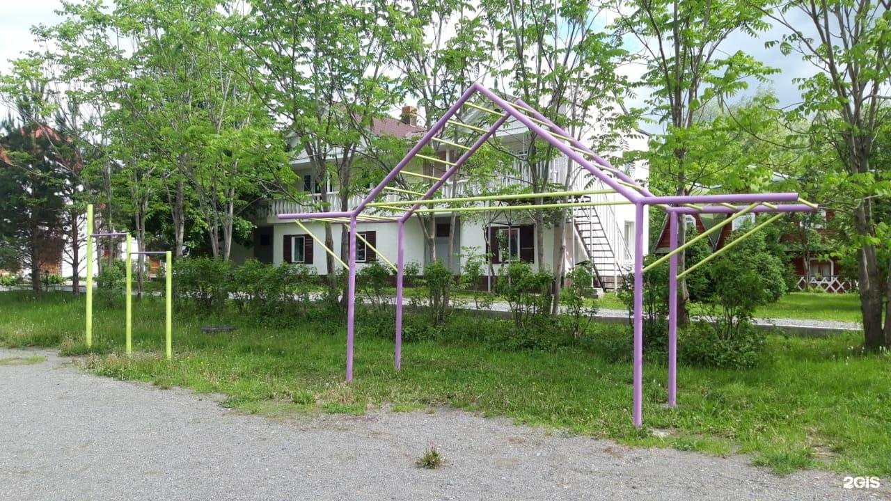 Колибри - фото 71