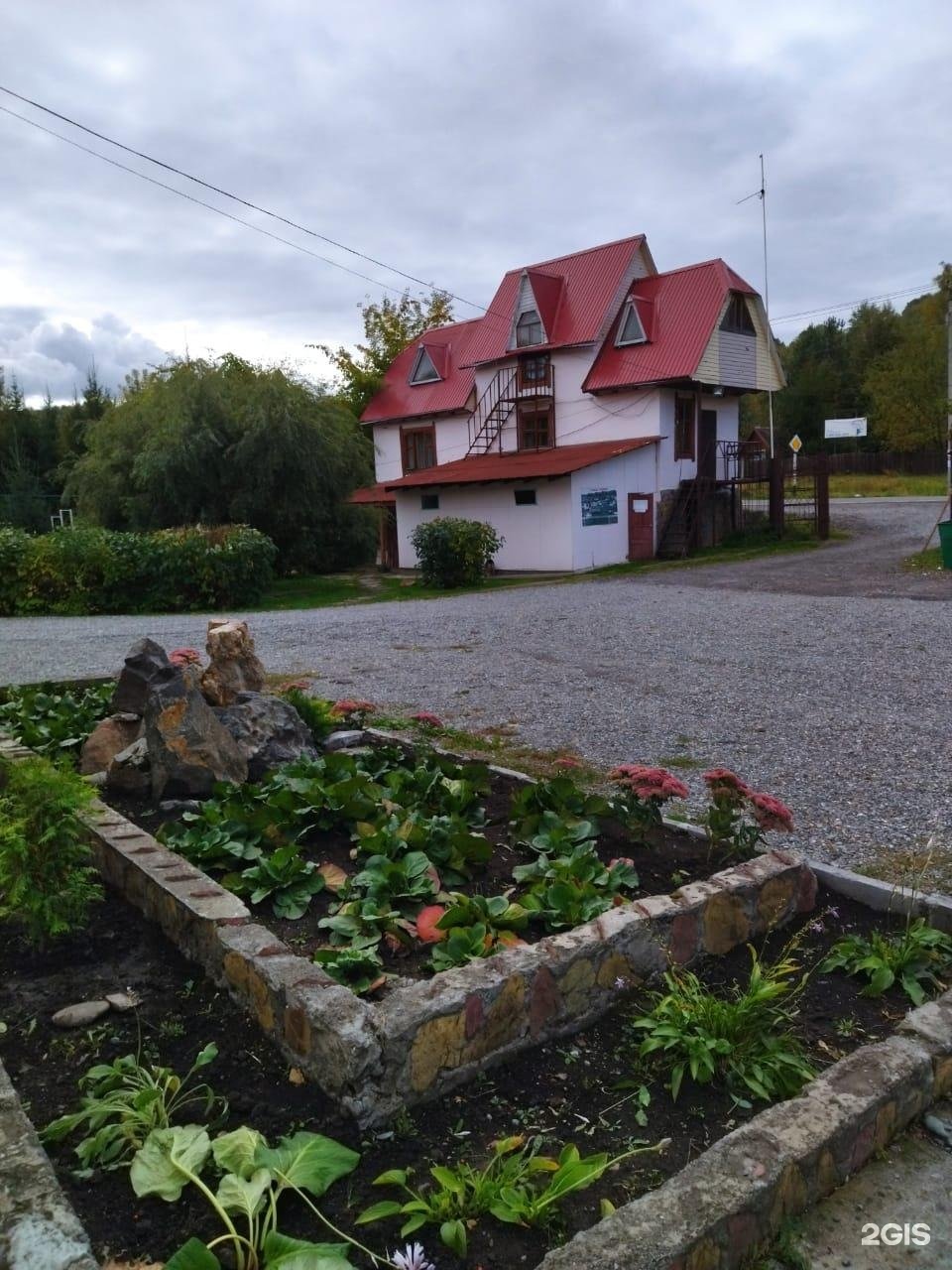 Колибри - фото 74