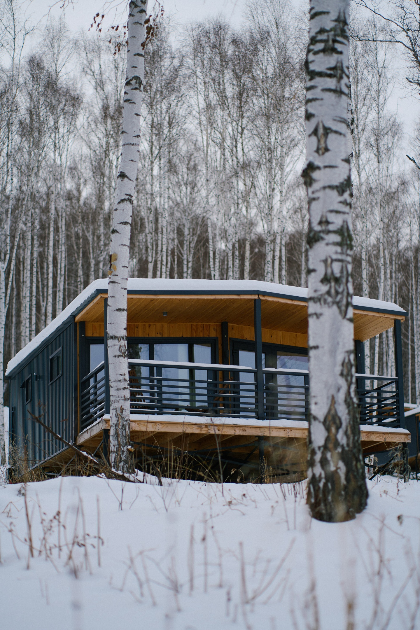 Красота - фото 3