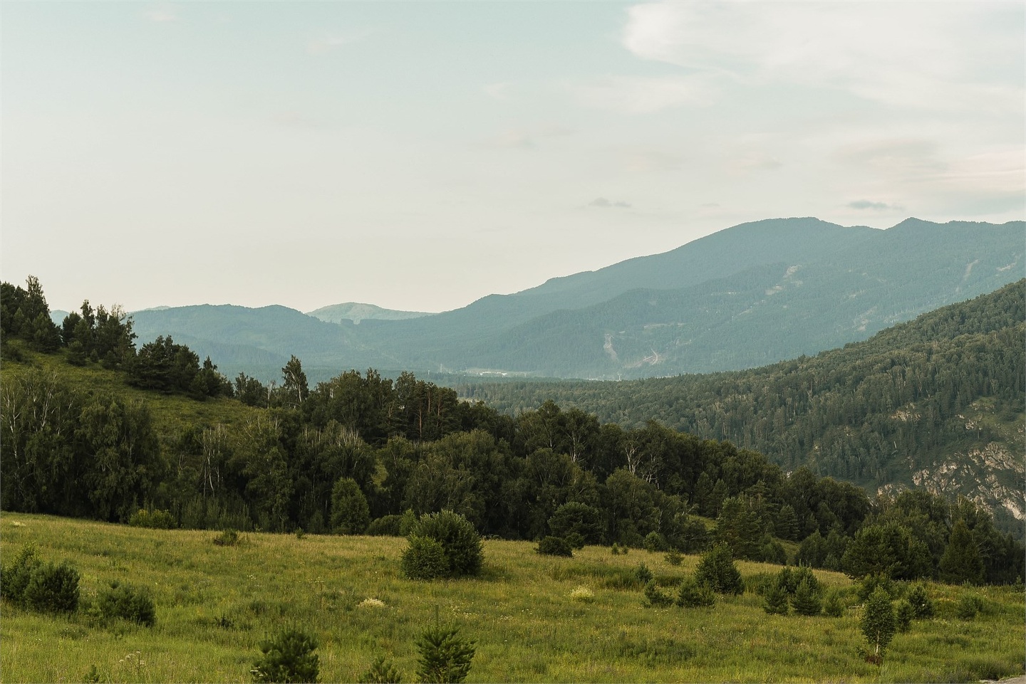 Полулюкс - фото 17