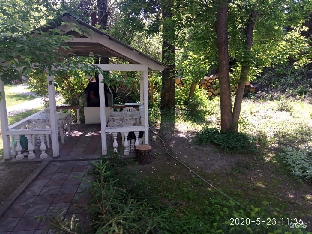 Колибри - фото 78