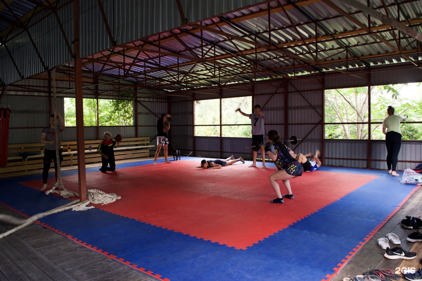 Колибри - фото 79