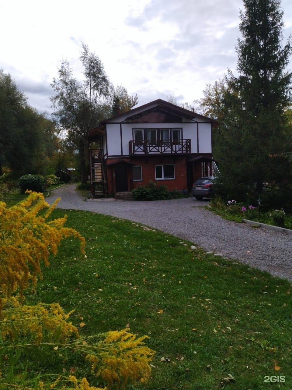 Колибри - фото 80