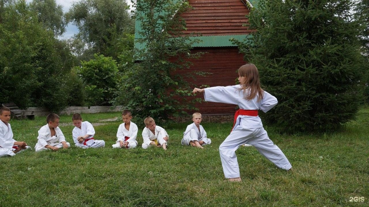 Колибри - фото 87