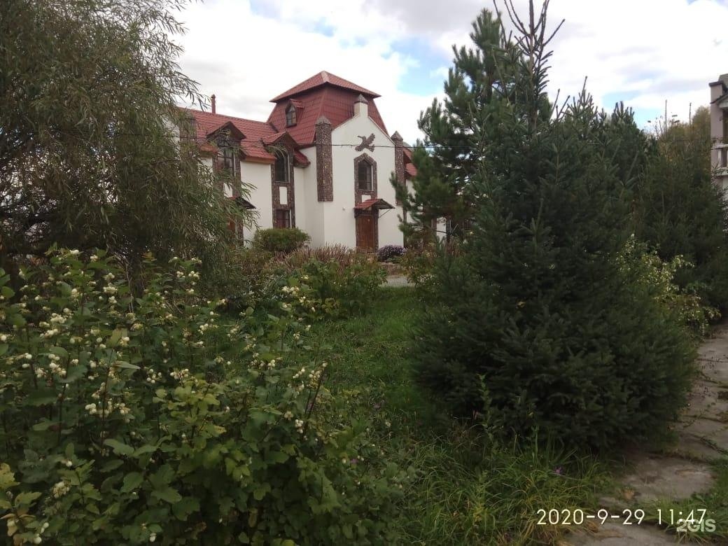 Колибри - фото 97