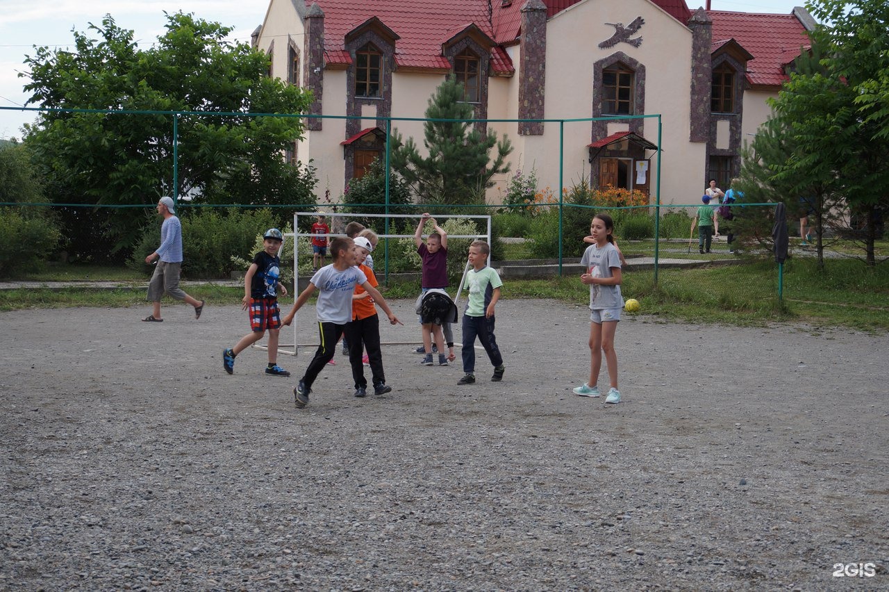 Колибри - фото 98