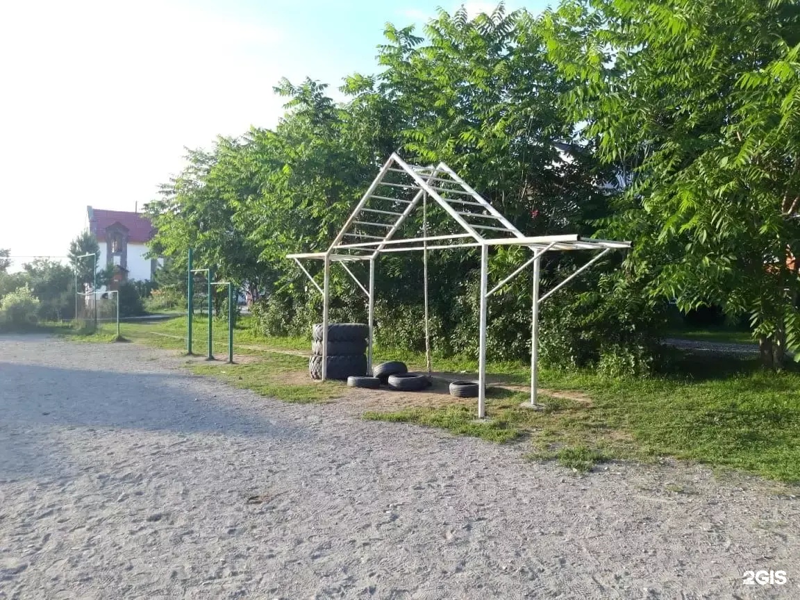 Колибри - фото 99