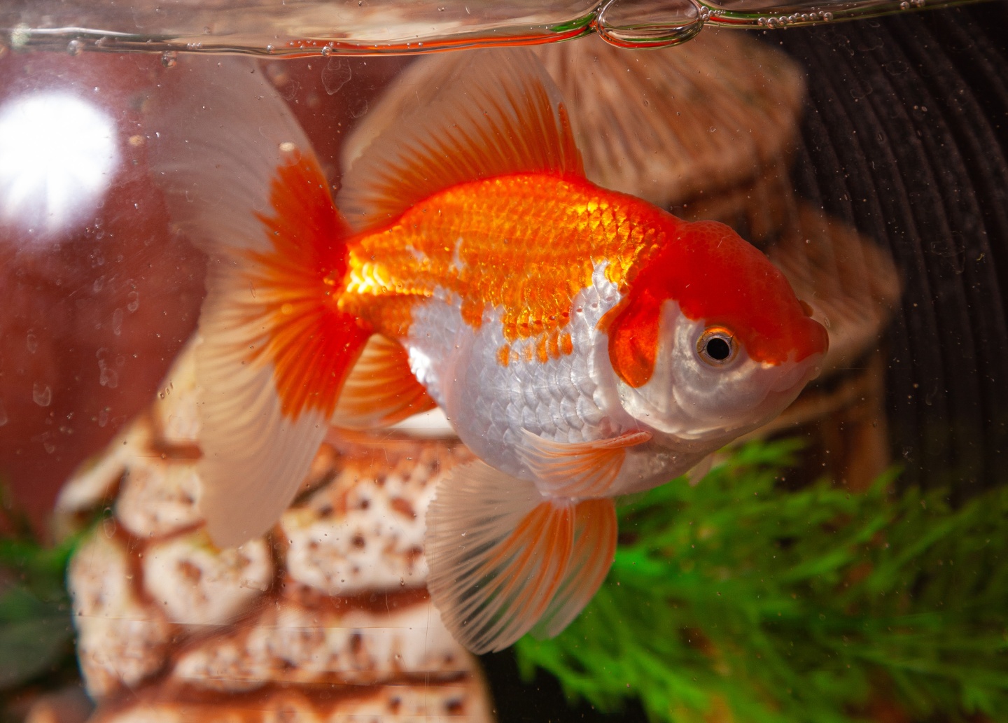 Любимый - фото 46